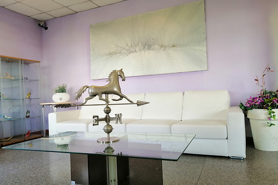 Hotel Antille - photo 2