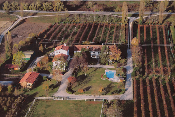 Villa Casa Country - photo 3