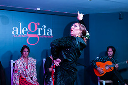 ALEGRÍA FLAMENCO Y GASTRONOMÍA