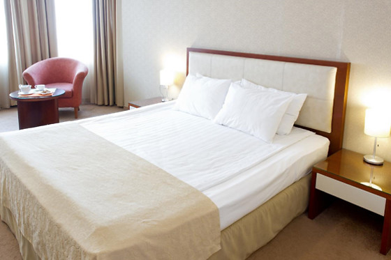 Hill Hotel Sofia - photo 4