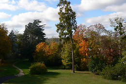 Château de la Rozelle