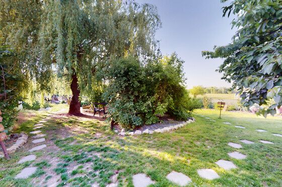 Le Souffle du Saule - photo 49