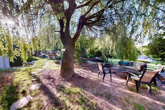 Le Souffle du Saule - photo 18