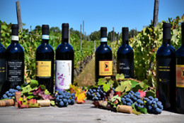 Cascina La Maddalena Bed & Wine