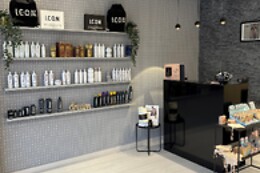Salon Mic