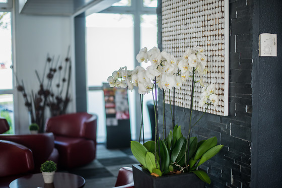 Hôtel Kyriad Marne la Vallée Torcy - photo 5