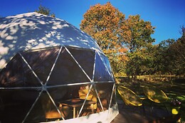 Tui's Nest Glamping