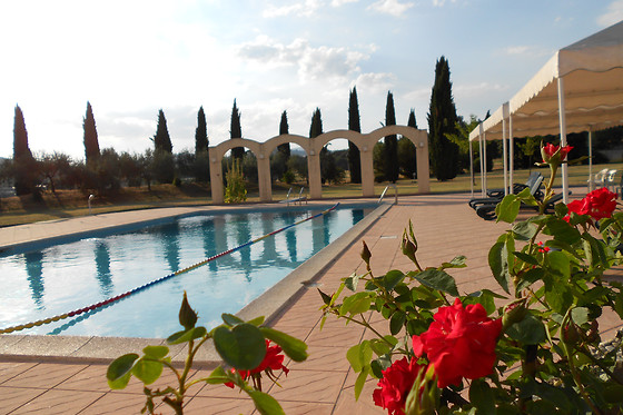 Vega Hotel - photo 0