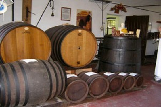 Agriturismo Acetaia Paltrinieri - photo 3