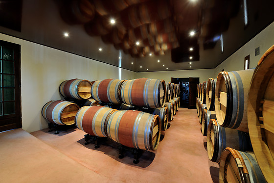 BODEGAS PAGO DE ALMARAES - photo 7