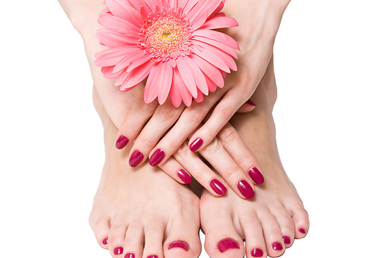 PASSION POR LA BELLEZA - photo 3