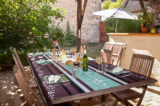 Orlaya - photo 6