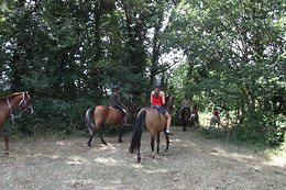Un Poney, une histoire