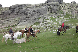 CABALLOS DE LA ARLANZA
