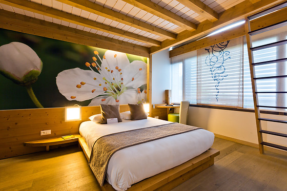 La Croix de Savoie & Spa - photo 4