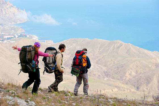 ALPINE PROJECT - photo 9
