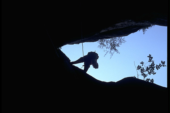 ALPINE PROJECT - photo 6