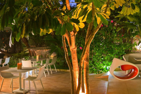 HOTEL ARECA - photo 18