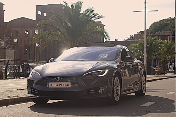 Tesla Rental - photo 5