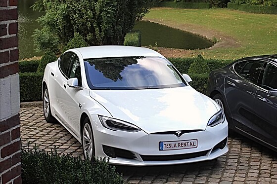 Tesla Rental - photo 3