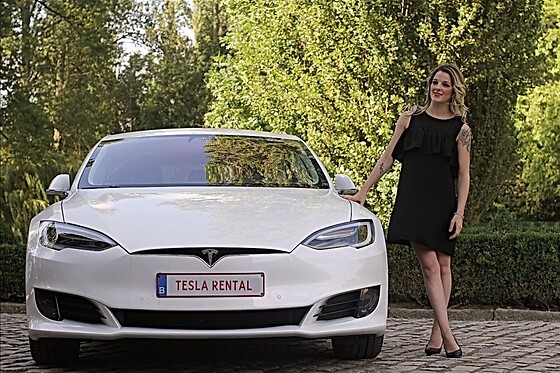 Tesla Rental - photo 4