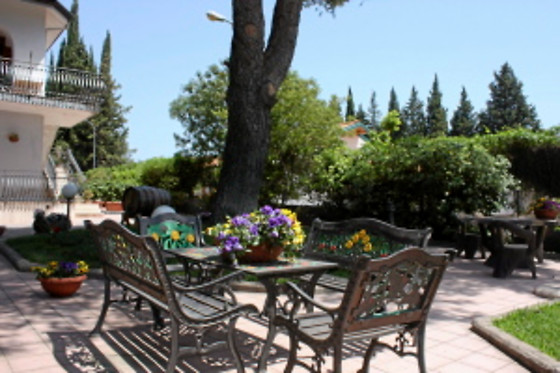 B&B Athena Garden - photo 6