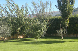 B&B Umbria Verde
