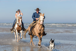 Les Ecuries de la Gare