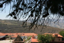 CASAL DE TRALHARIZ