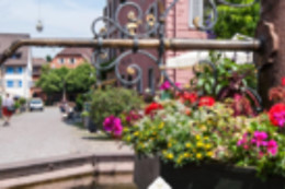 Fauststube im Löwen