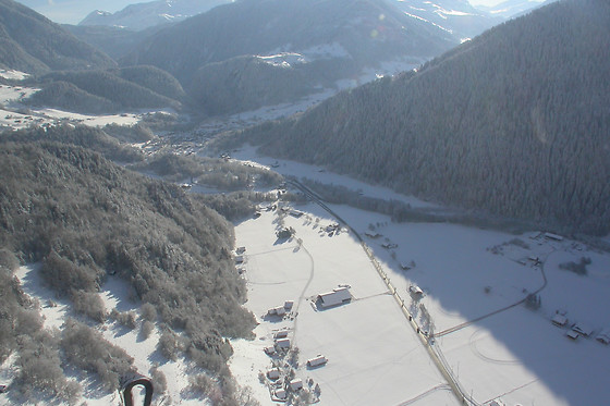 Les Volatiles - photo 8