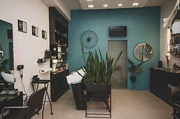Daniel Salon