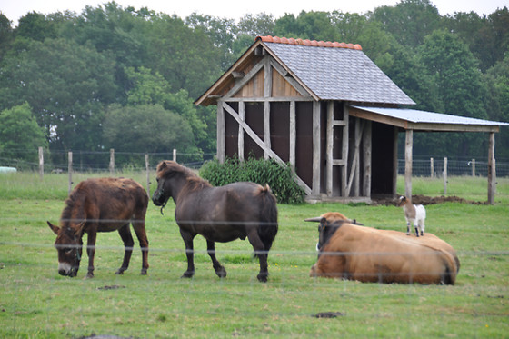 La ferme du domaine - photo 3