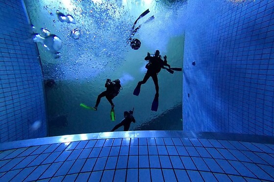 DiveWinns - photo 0