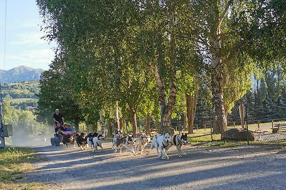 Passion Traîneau - photo 17