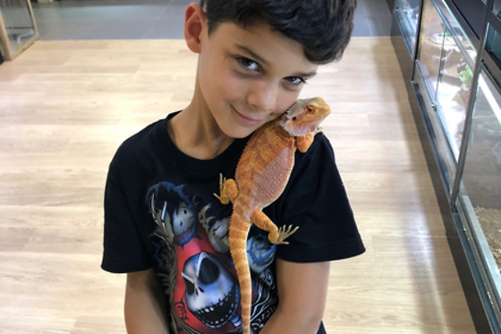 Mike's Reptipark - photo 2