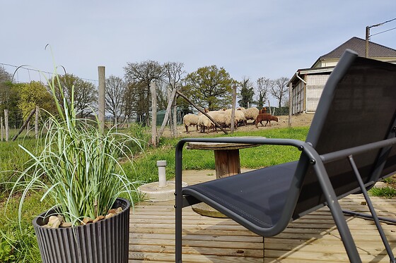 Boerderij Lianko - photo 9