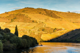 MANOS DO DOURO