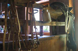 Agriturismo Ranch dei Lupi