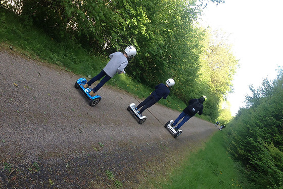 Gyroproevolution - photo 1