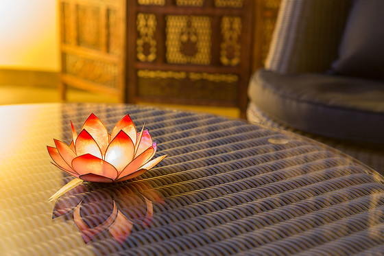 HETRE ZEN - photo 16