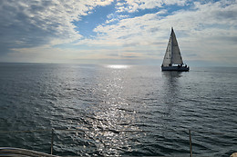 UP Nautica