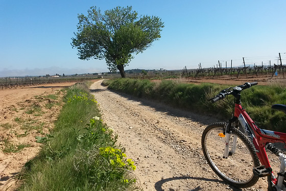 Gîtes Tout au sud de la France - photo 1