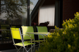 B&B Goudsbloempje