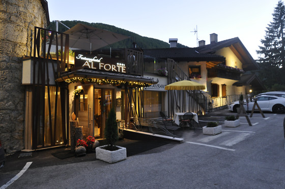 Hotel Al Forte - photo 8