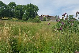 Les Pierres Davélie