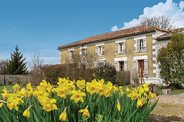 Du Coté Vignes