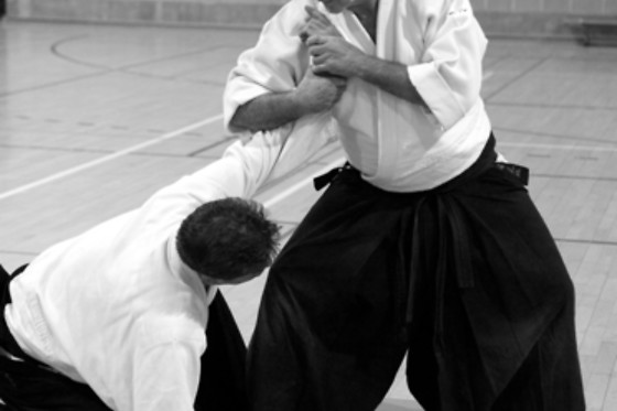 Aïkido Shugyo Dojo Brabant Wallon - photo 10