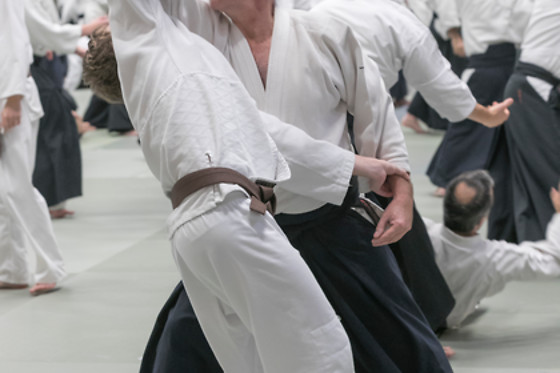 Aïkido Shugyo Dojo Brabant Wallon - photo 20