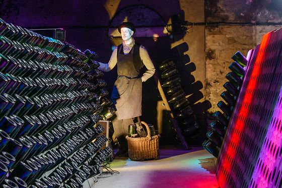 Maison Guinot - photo 4
